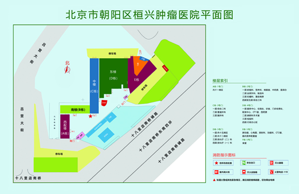 大鸡操x视频北京市朝阳区桓兴肿瘤医院平面图